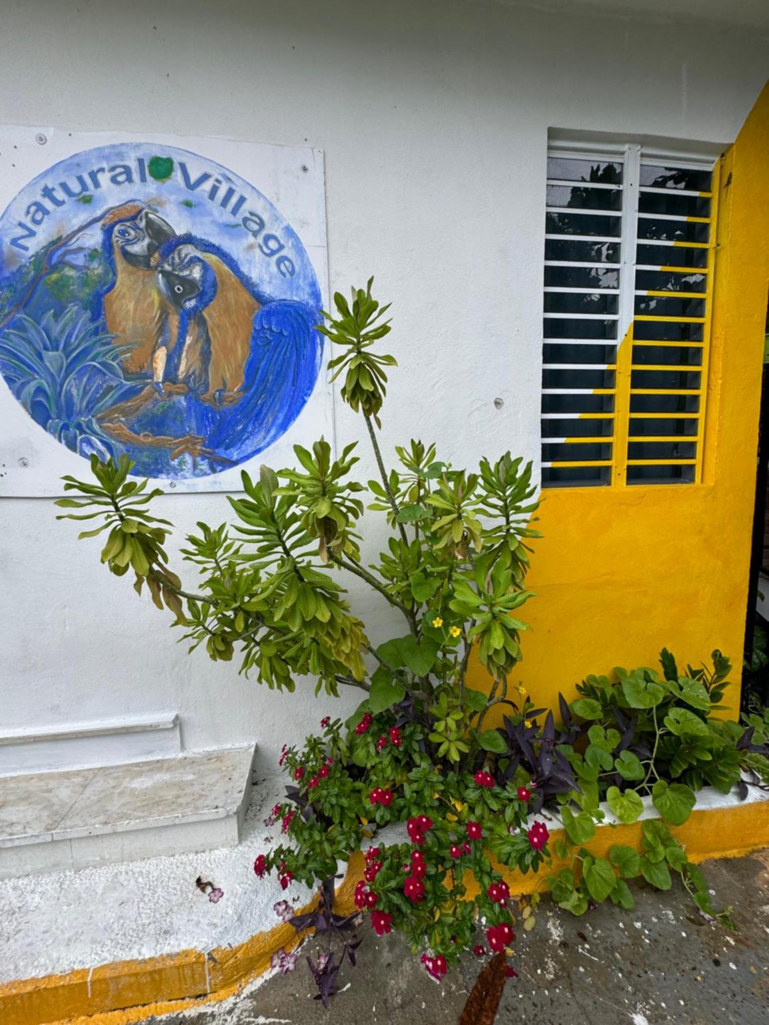 Casita Natural Village #4, #6 Y #8 San Juan Extérieur photo
